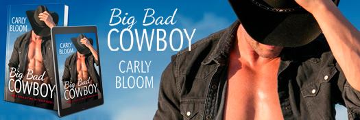Author Carly Bloom Books link